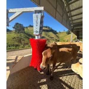 RASCADORES PARA VACAS